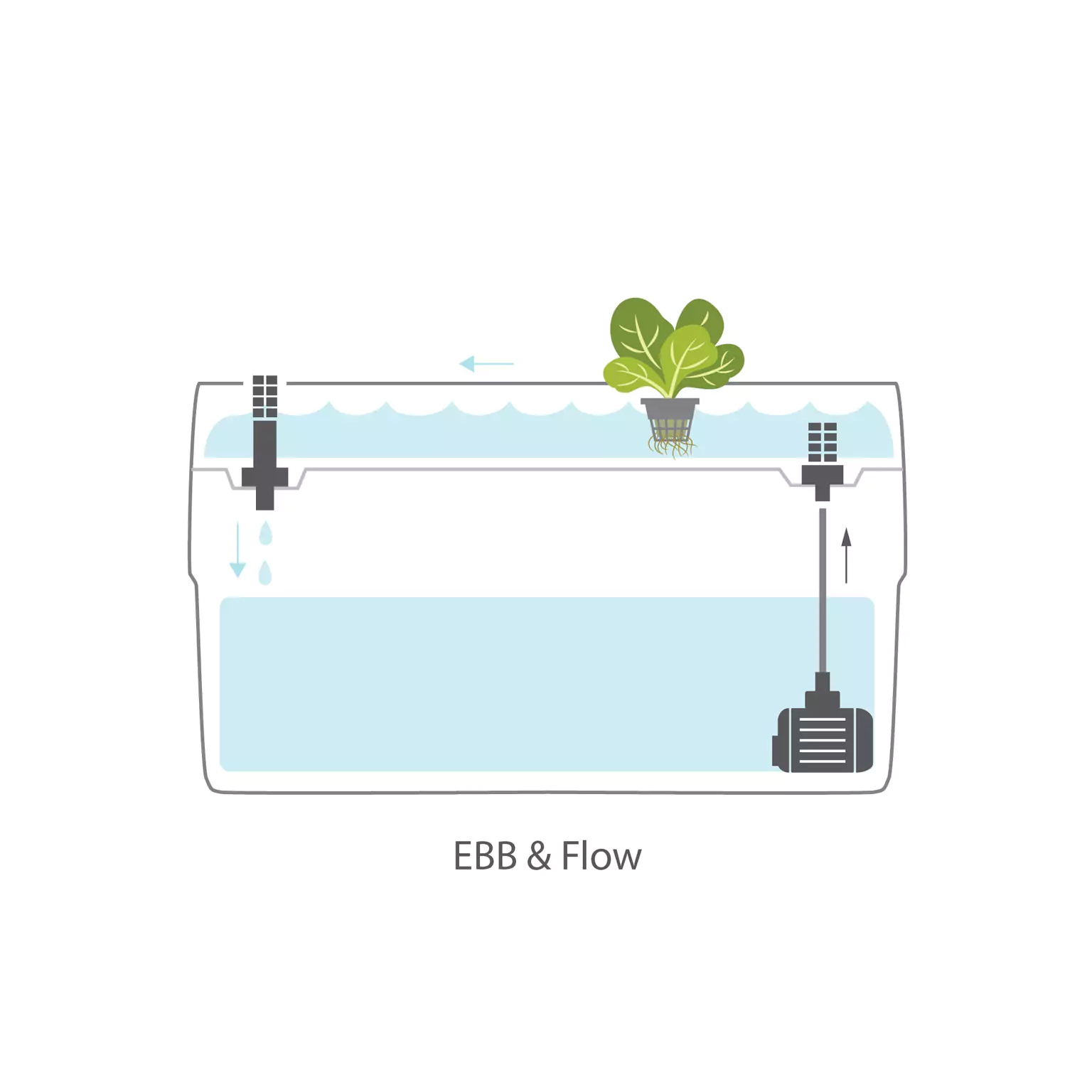EbbAndFlow